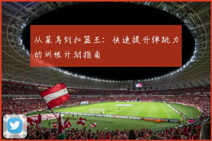从菜鸟到扣篮王：快速提升弹跳力的训练计划指南