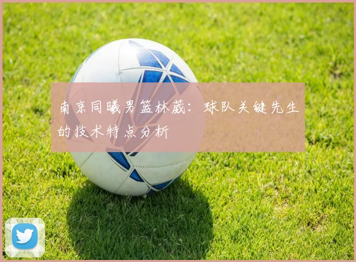 南京同曦男篮林葳：球队关键先生的技术特点分析