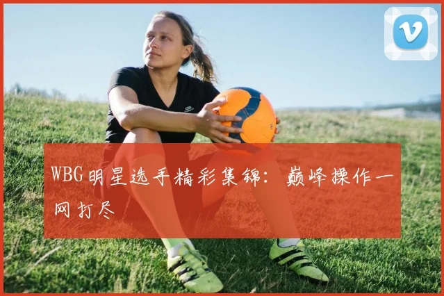 WBG明星选手精彩集锦:巅峰操作一网打尽