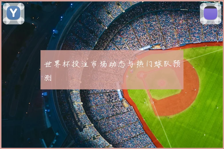 世界杯投注市场动态与热门球队预测